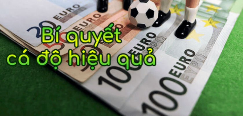 Đăng Ký New88 - Để Trở Thành Hội Viên Đẳng Cấp 9 Đăng ký new88 chơi cá cược cùng cao thủ